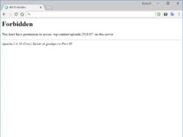 Что такое ошибка 403 Forbidden и как можно ее исправить